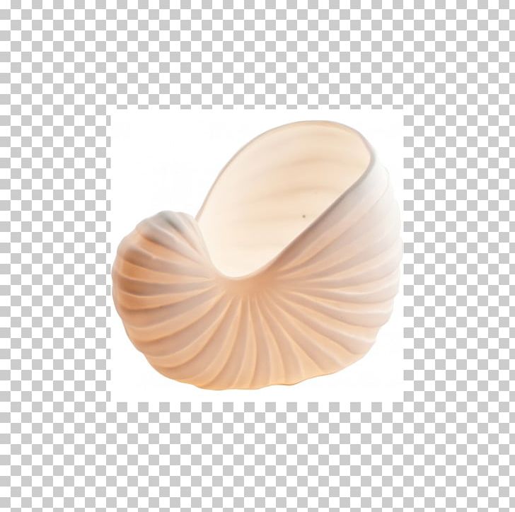 Nautiluses Seashell PNG, Clipart, Animals, Nautilida, Seashell Free PNG Download