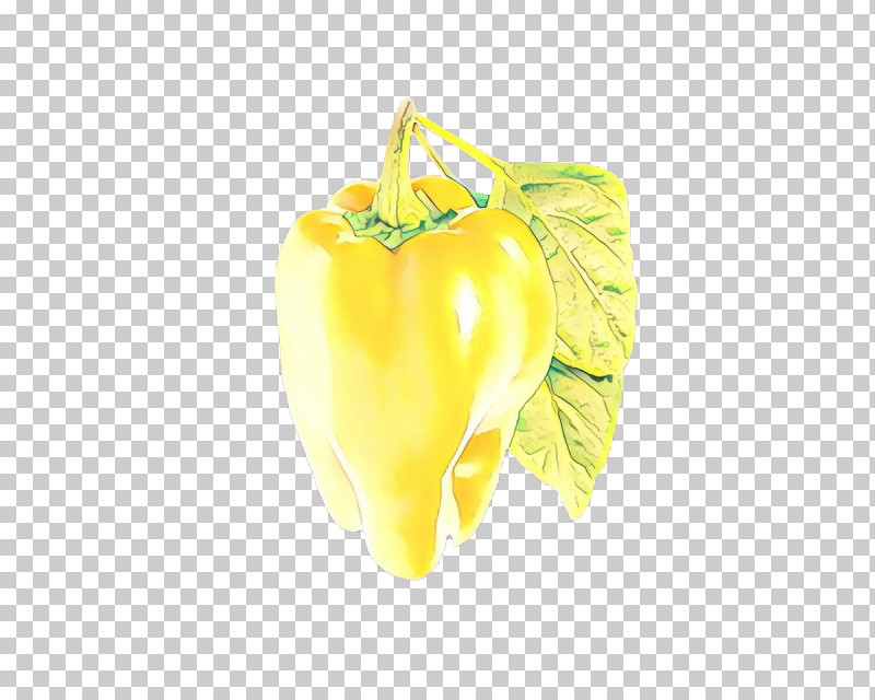 Yellow Yellow Pepper Bell Pepper Plant Vegetable PNG, Clipart, Bell Pepper, Capsicum, Food, Nightshade Family, Paprika Free PNG Download