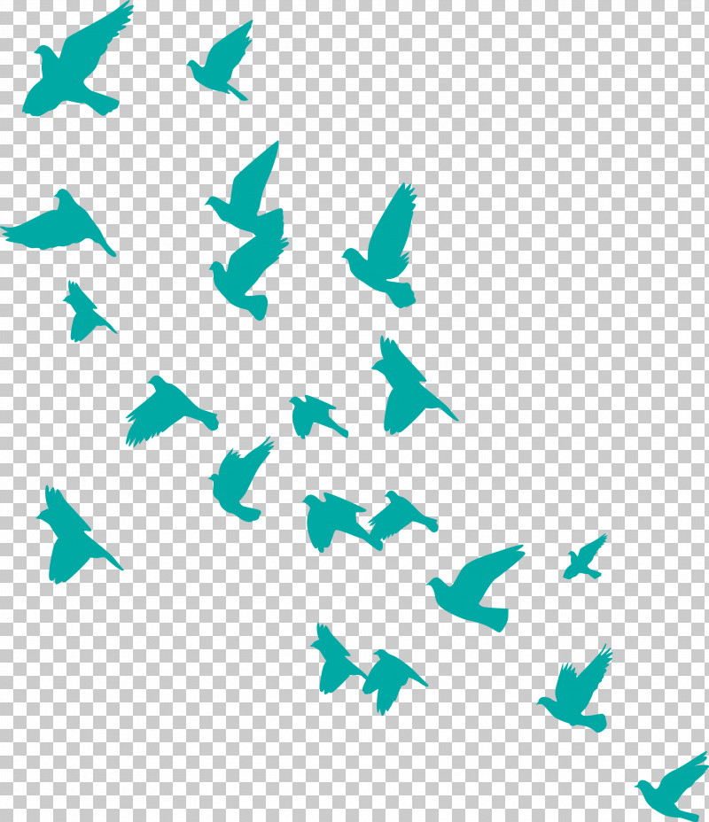 Flying Birds Background PNG, Clipart, Biology, Flying Birds Background, Leaf, Line, Meter Free PNG Download
