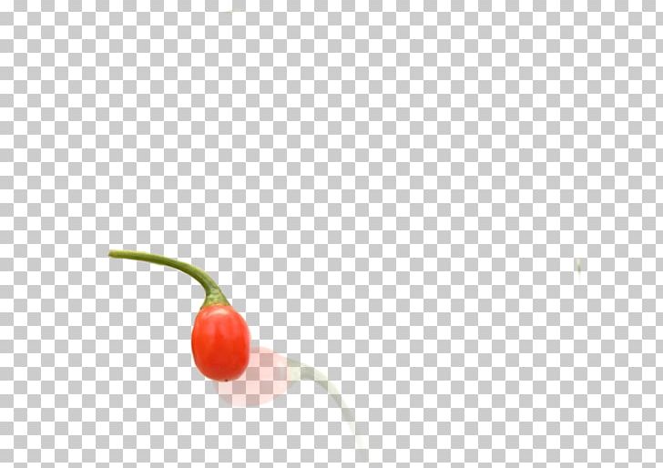 Chili Pepper Natural Foods Capsicum Superfood Close-up PNG, Clipart, Bell Peppers And Chili Peppers, Capsicum, Cherry, Chili Pepper, Closeup Free PNG Download