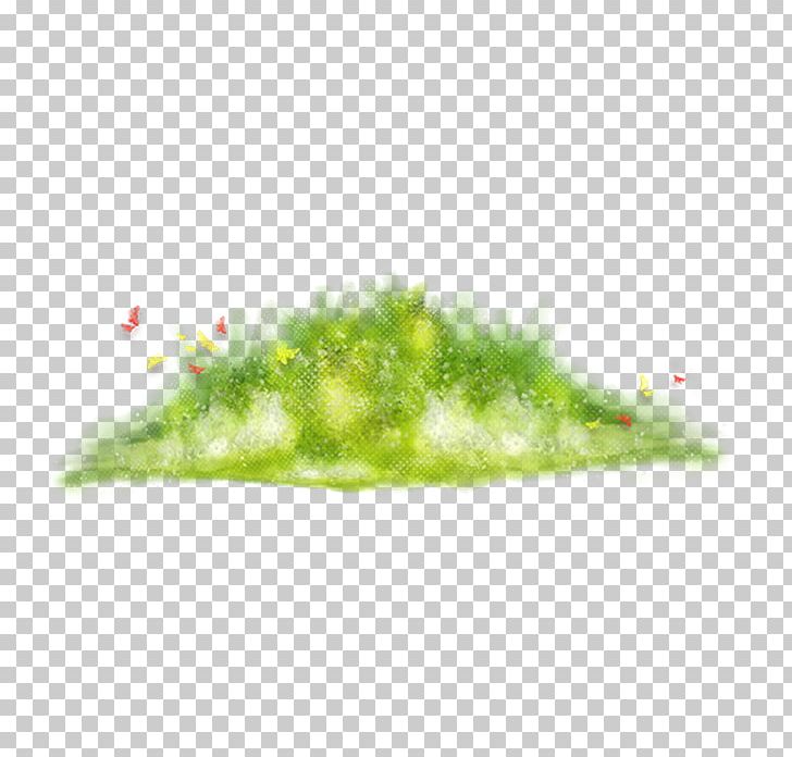 Grass PNG, Clipart, Clip Art, Desktop Wallpaper, Download, Grass, Grass Family Free PNG Download