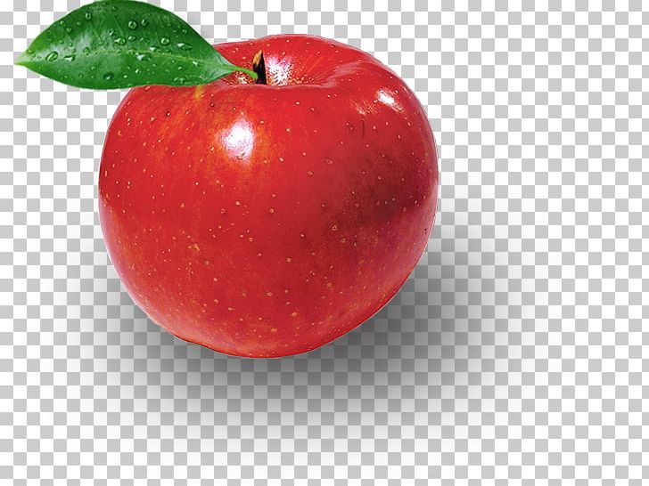 Barbados Cherry Business COSMAX Customer Apple PNG, Clipart, Accessory Fruit, Acerola, Acerola Family, Afacere, Apple Free PNG Download