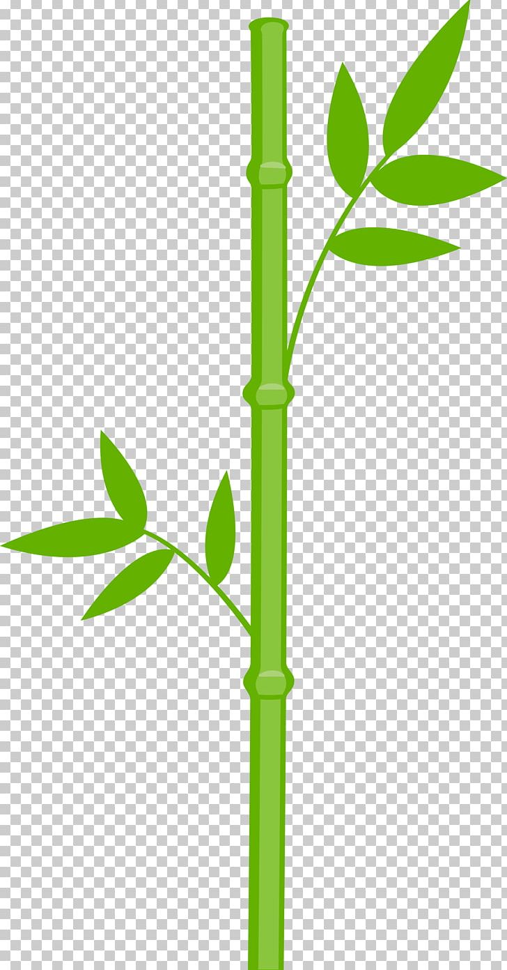 Giant Panda Bamboo Grasses PNG, Clipart, Art, Bamboo, Desktop Wallpaper, Drawing, Giant Panda Free PNG Download