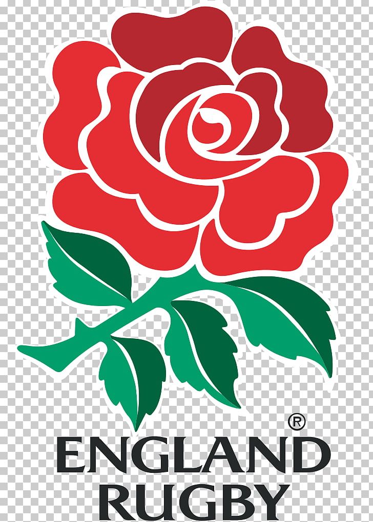 Twickenham Stadium England National Rugby Union Team Rugby World Cup Six Nations Championship Irish Rugby PNG, Clipart, Area, Artwork, Cut Flowers, Eddie Jones, England Free PNG Download