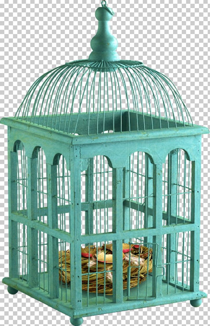 Birdcage Domestic Canary Interior Design Services PNG, Clipart, Animals, Bird, Birdcage, Bird Feeders, Cage Free PNG Download