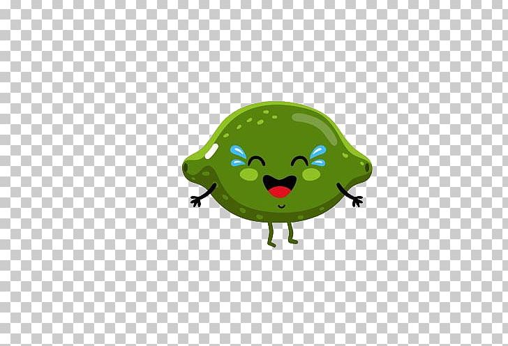 Cartoon Lime Fruit Illustration PNG, Clipart, Art, Auglis, Background Green, Ball, Cartoon Free PNG Download