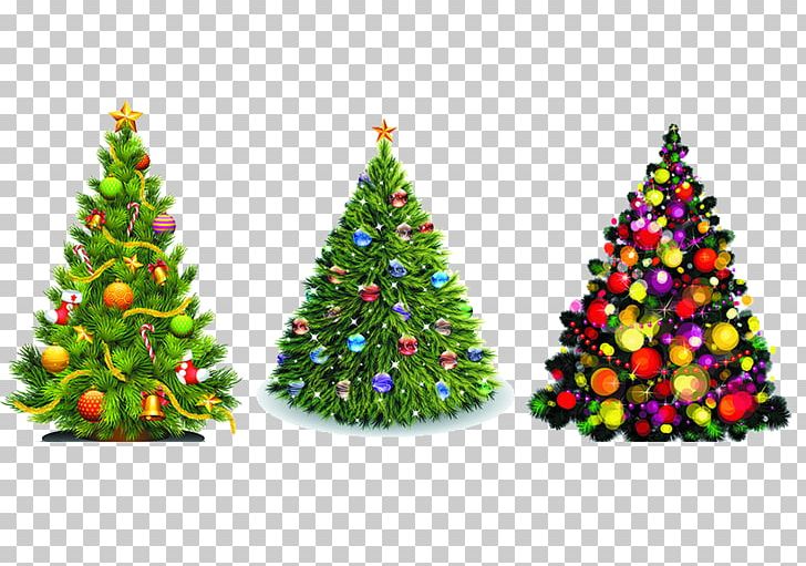 Christmas Tree Christmas Ornament PNG, Clipart, Cartoon, Christmas, Christmas Decoration, Christmas Frame, Christmas Lights Free PNG Download