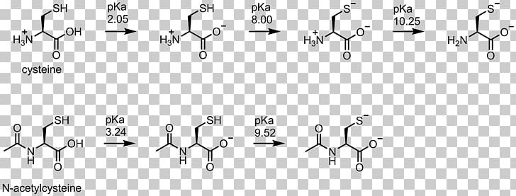 Cysteine Methionine Deprotonation Thiol PKa PNG, Clipart, Acetyl Group, Acid, Amino Acid, Angle, Black And White Free PNG Download