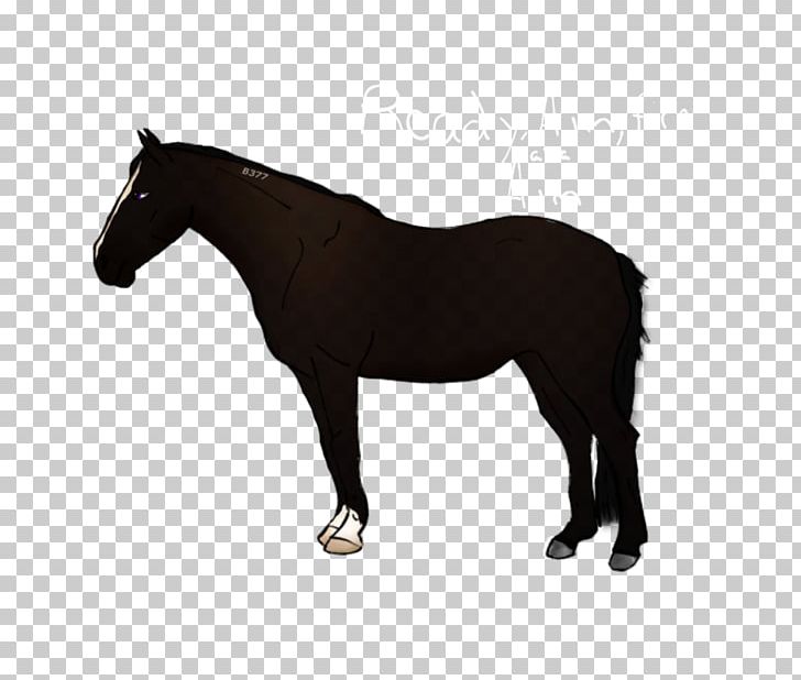 Horse Blanket Foal PNG, Clipart, Animal Figure, Animals, Black, Bridle, Carriage Free PNG Download