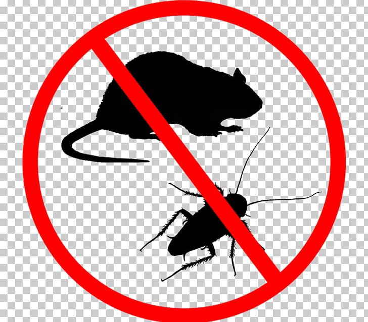 Rodent Pest Vermin Van Nuys PNG, Clipart, Animal, Animals, Area, Artwork, Black And White Free PNG Download