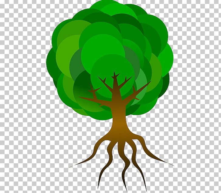 Root Graphics Tree PNG, Clipart, Branch, Cartoon, Drawing, Fictional Character, Green Free PNG Download