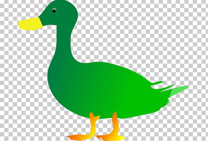Duck Mallard Goose PNG, Clipart, Artwork, Beak, Bird, Computer Icons, Download Free PNG Download