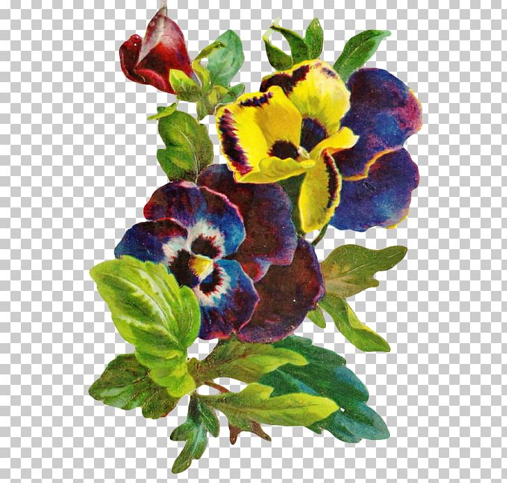 Flower Decoupage PNG, Clipart, Decoupage, Floral Design, Flower, Flowering Plant, Hypertext Transfer Protocol Free PNG Download