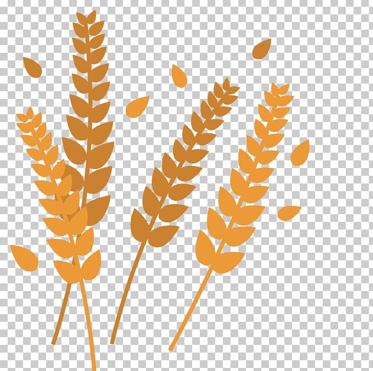 Plant Leaves Leaf Shape PNG, Clipart, Art, Autumn Leaves, Commodity, Decoration, Download Free PNG Download