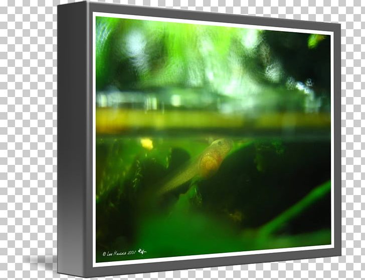 Television Set LCD Television Computer Monitors LED-backlit LCD PNG, Clipart, Advertising, Backlight, Computer, Computer Monitor, Computer Wallpaper Free PNG Download