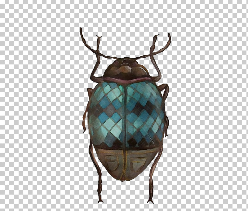 Deer Scarabs True Bugs Antler Turquoise PNG, Clipart, Antler, Biology, Deer, Insect, Paint Free PNG Download