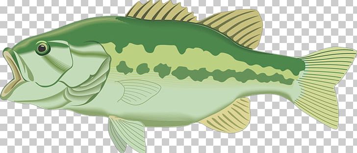 Largemouth Bass Bass Fishing PNG, Clipart, Animal Figure, Bass, Bass Boat, Bass Fish, Bass Fishing Free PNG Download