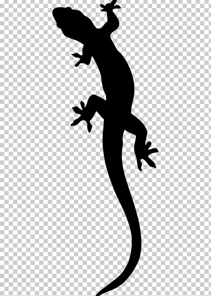 Salamander Gecko PNG, Clipart, Alpine Salamander, Animal, Animals, Black And White, Drawing Free PNG Download