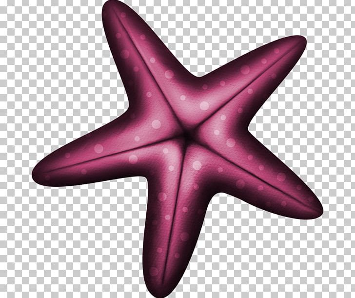 Starfish Euclidean Purple Blue PNG, Clipart, Animals, Blue, Encapsulated Postscript, Green, Invertebrate Free PNG Download