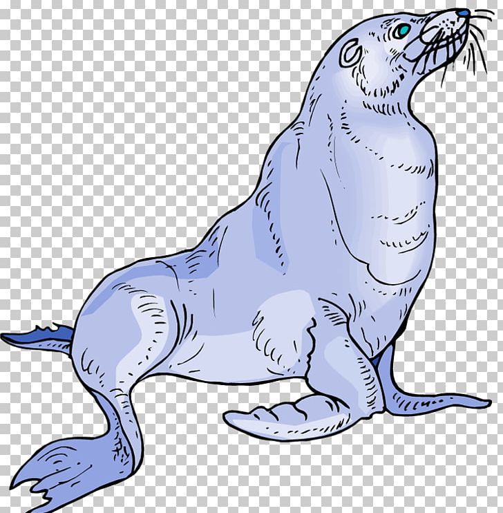 Baby Sea Lion Pinniped PNG, Clipart,  Free PNG Download