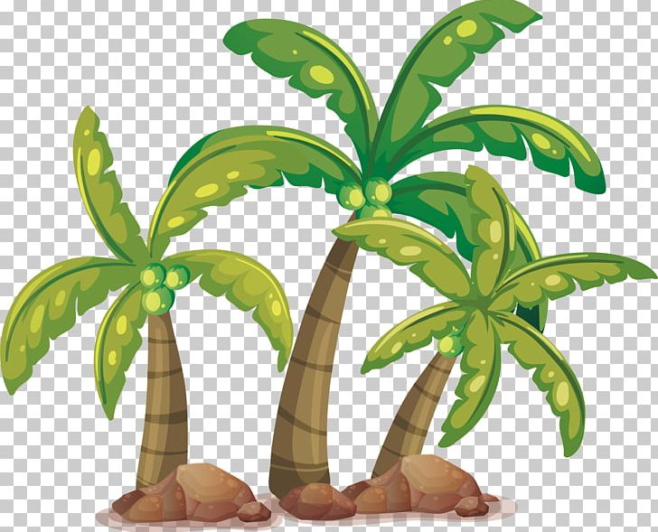 Coconut Arecaceae Tree PNG, Clipart, Arecaceae, Christmas Tree, Coconut, Coconut Tree, Coconut Vector Free PNG Download