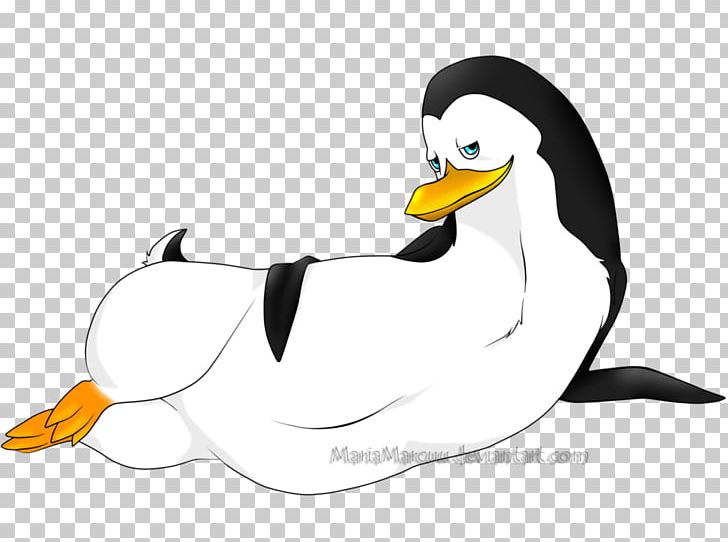 Duck Penguin Beak Cartoon PNG, Clipart, Animals, Artwork, Beak, Bird, Cartoon Free PNG Download
