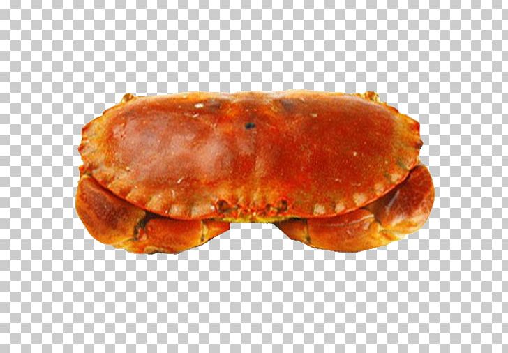 Dungeness Crab Sea Cangrejo Crab Meat PNG, Clipart, American Food, Animals, Animal Source Foods, Breakfast Sandwich, Cancer Pagurus Free PNG Download