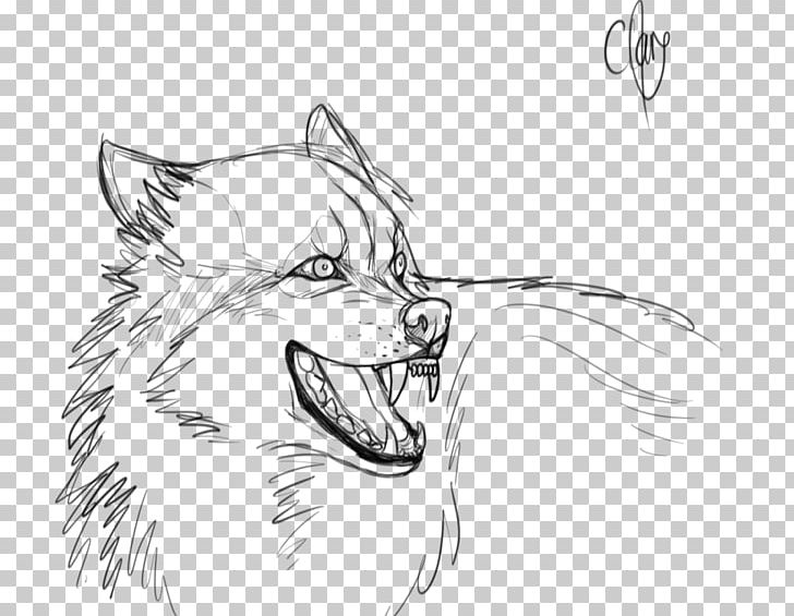 Gray Wolf Snout Line Art Drawing Sketch PNG, Clipart, Art, Artwork, Black And White, Carnivoran, Comics Free PNG Download