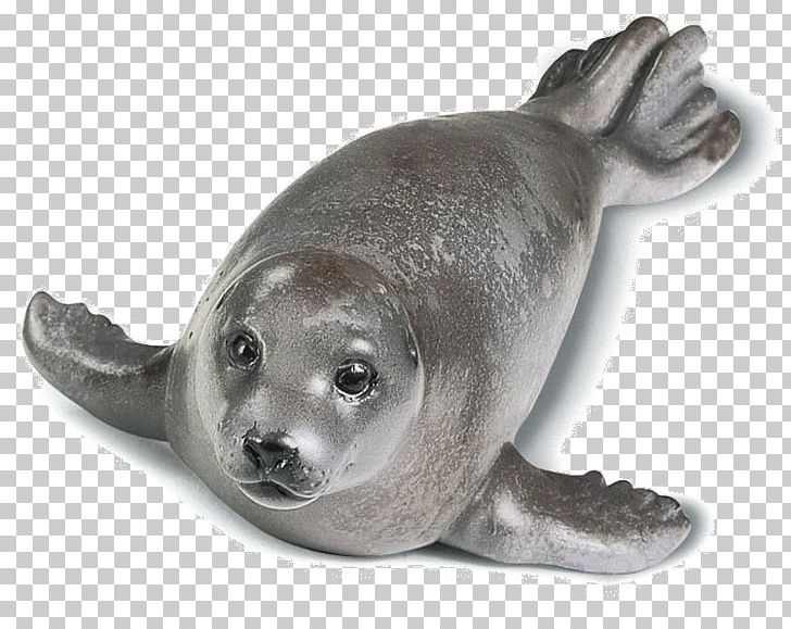 Harbor Seal Seals & Sea Lions Earless Seal Schleich PNG, Clipart, Animal, Animal Figure, Animals, Aquatic Animal, Aquatic Mammal Free PNG Download