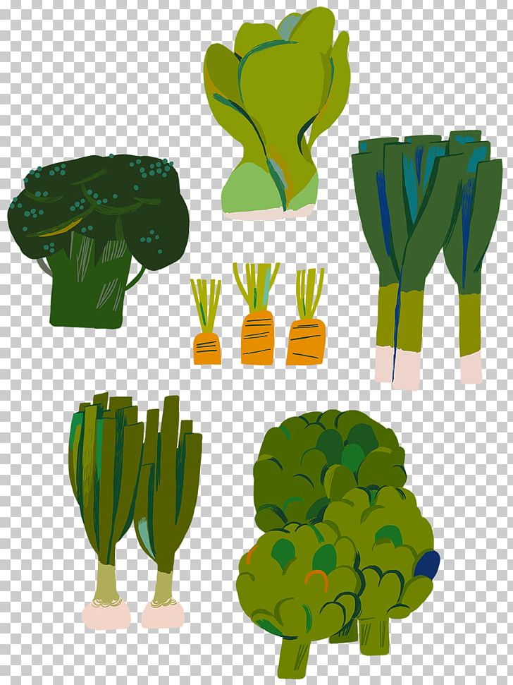 Illustration Vegetable Food Drawing PNG, Clipart, Carrot, Cooking, Drawing, Flowerpot, Food Free PNG Download