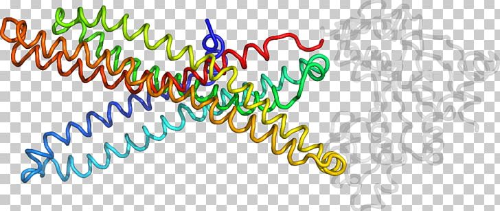 Line Organism PNG, Clipart, 3 B, Area, Art, B 5, Chain Free PNG Download