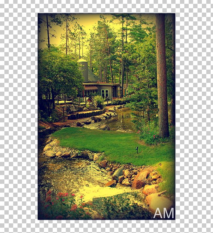 Nature Reserve Vegetation Tree Painting PNG, Clipart, Bank, Bayou, Forest, Grass, Homestead Free PNG Download