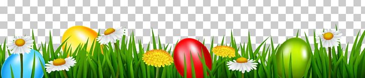 Easter Bunny Easter Egg PNG, Clipart, Blog, Computer Wallpaper, Easter, Easter Basket, Easter Bunny Free PNG Download