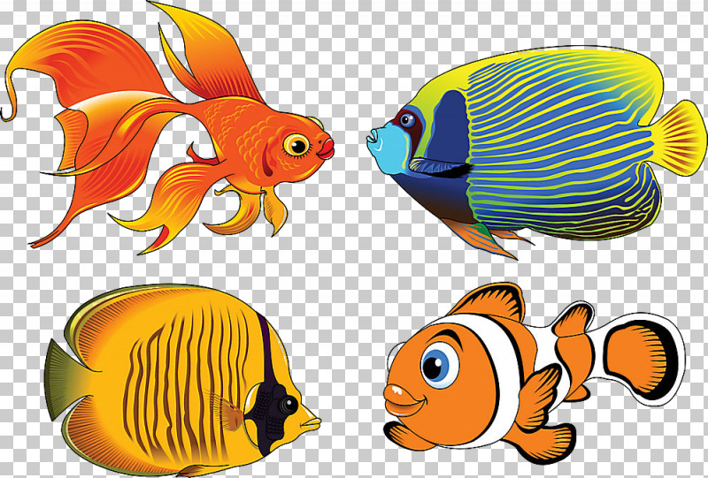 Fish Pomacanthidae Fish Pomacentridae Aquarium Decor PNG, Clipart, Animal Figure, Aquarium Decor, Butterflyfish, Coral Reef Fish, Fish Free PNG Download