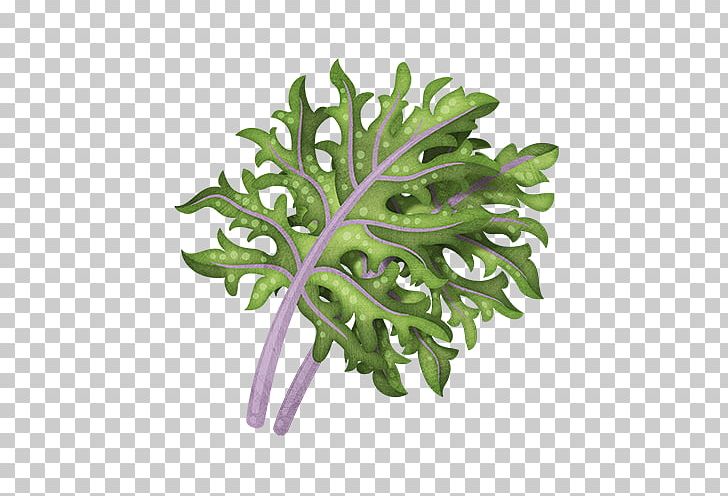 Swiss Cheese Plant Spring Greens Stock Photography Leaf PNG, Clipart, Butterfly Pea Flower, Flowerpot, Herb, Leaf, Leaf Vegetable Free PNG Download