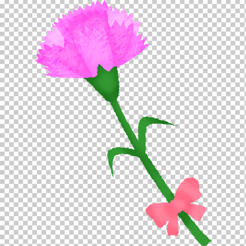 Rose PNG, Clipart, Biology, Carnation, Cut Flowers, Family, Flower Free PNG Download