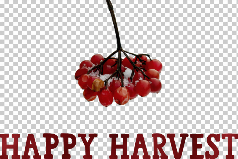Berry Cherry Superfood Fruit PNG, Clipart, Berry, Cherry, Fruit, Happy Harvest, Harvest Time Free PNG Download