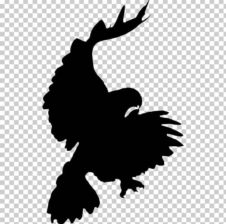 Bird Red-tailed Hawk PNG, Clipart, Animals, Beak, Bird, Bird Of Prey, Black And White Free PNG Download