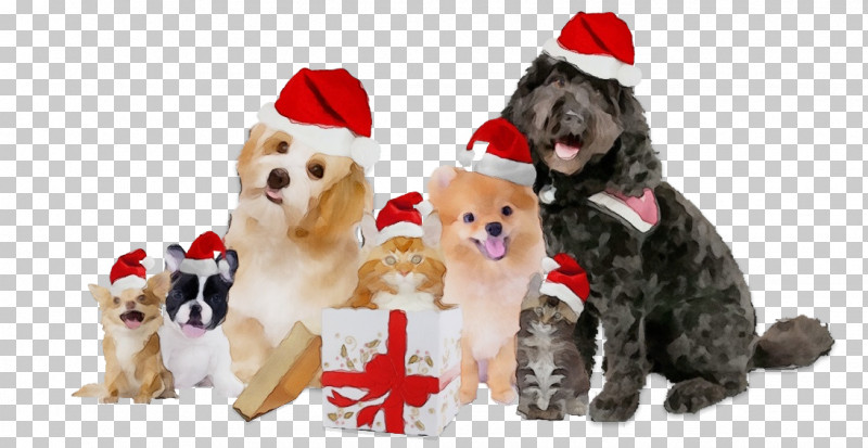 Christmas Ornament PNG, Clipart, Breed, Christmas Day, Christmas Ornament, Companion Dog, Crossbreed Free PNG Download