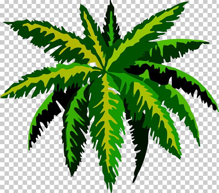 Drawing Tropics PNG, Clipart, Arecaceae, Art, Art Museum, Cannabis, Clip Art Free PNG Download