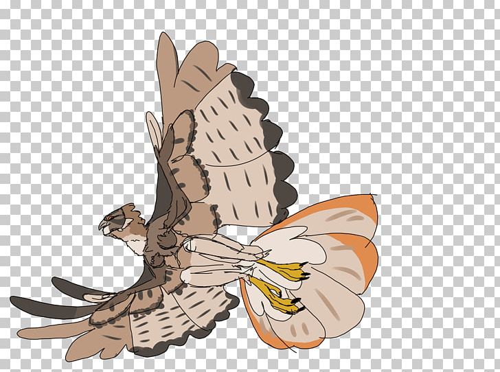 Owl Wing Insect Cartoon PNG, Clipart, Animals, Bird, Bird Of Prey, Butterfly, Cartoon Free PNG Download