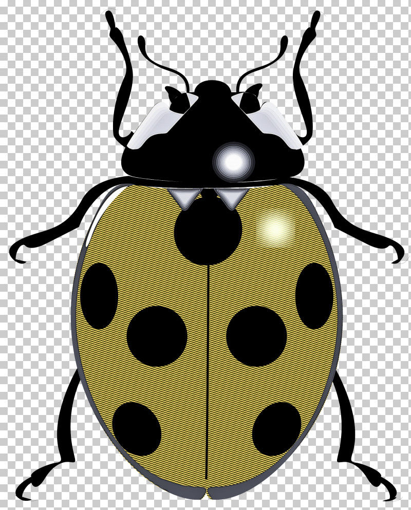 Insect Beetle Leaf Beetle Blister Beetles Darkling Beetles PNG, Clipart, Beetle, Blister Beetles, Darkling Beetles, Insect, Leaf Beetle Free PNG Download