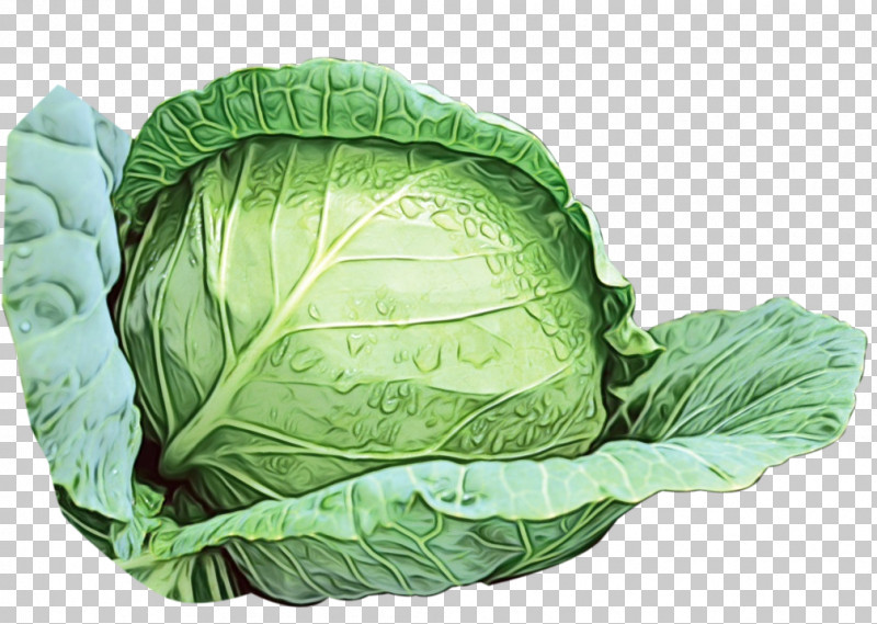 Leaf Vegetable Cabbage Savoy Cabbage Collard Komatsuna PNG, Clipart, Cabbage, Collard, Komatsuna, Leaf, Leaflet Free PNG Download