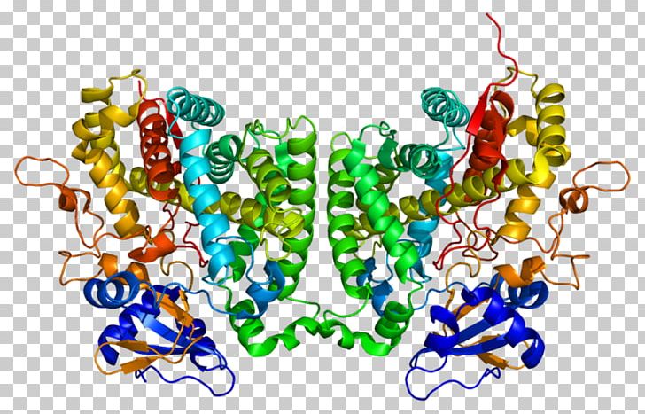 CYP2R1 Calcitriol Cytochrome P450 Vitamin D Calcifediol PNG, Clipart, Art, Calcifediol, Calcitriol, Calcitriol Receptor, Cyp2r1 Free PNG Download