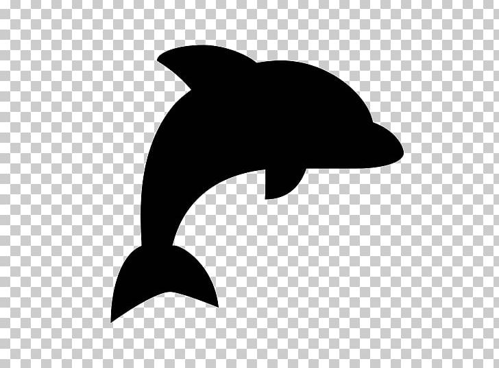Dolphin Porpoise Computer Icons PNG, Clipart, Animal, Animals, Beak, Black, Black  Free PNG Download