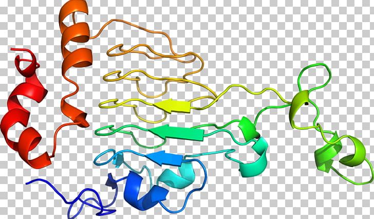 Organism PNG, Clipart, Acetyltransferase, Area, Art, Artwork, Line Free PNG Download