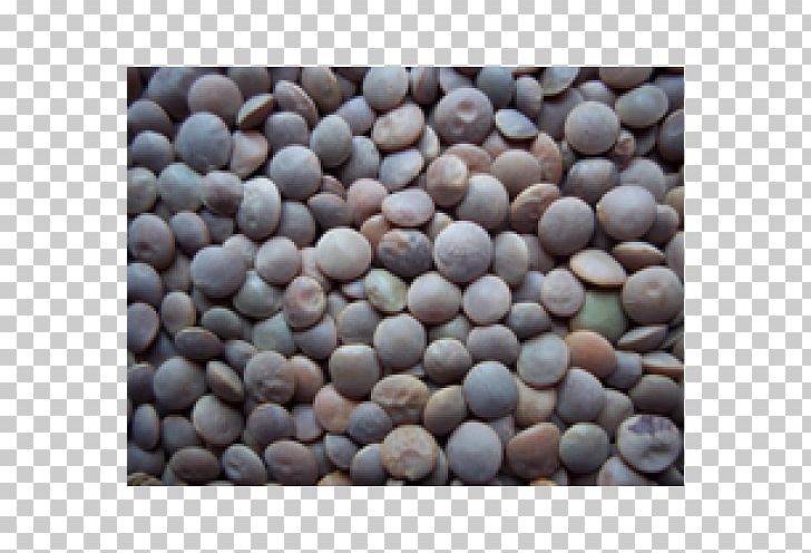 Seed PNG, Clipart, Commodity, Material, Pebble, Pulse, Seed Free PNG Download
