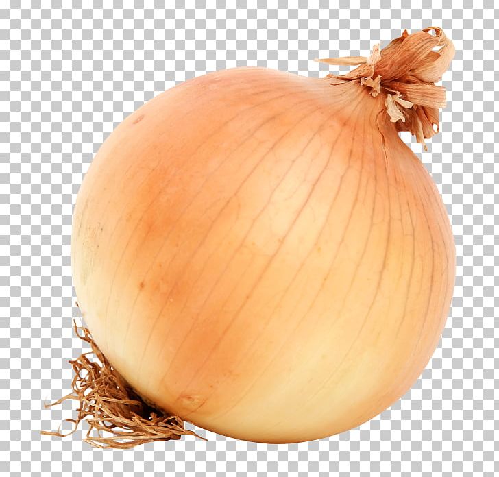 Yellow Onion Vegetable Red Onion White Onion PNG, Clipart, Allium, Allium Fistulosum, Food, Food Drinks, Ingredient Free PNG Download