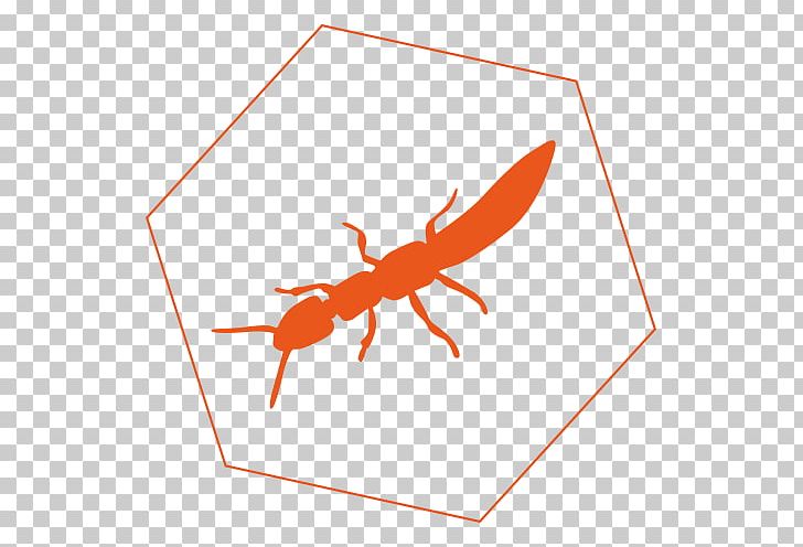 Academic Pest Controls Insect Termite PNG, Clipart, Animals, Area, Bait, Decapoda, Food Free PNG Download