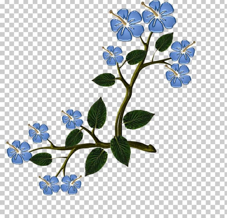 Flower PNG, Clipart, Animation, Blue, Blume, Branch, Flora Free PNG Download